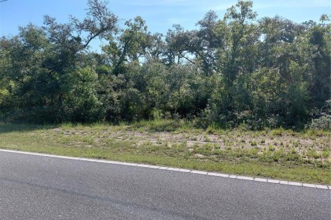 Land in Webster, Florida № 2209941 - photo 17