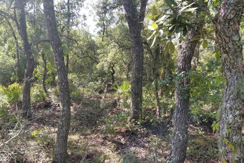 Land in Webster, Florida № 2209941 - photo 14