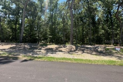 Land in Brooksville, Florida № 1044250 - photo 17