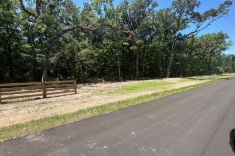 Land in Brooksville, Florida № 1044250 - photo 16