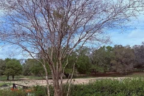 Terrain à vendre à Apopka, Floride № 2232931 - photo 6
