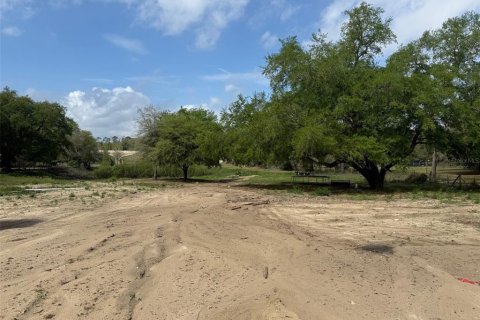 Land in Apopka, Florida № 2232931