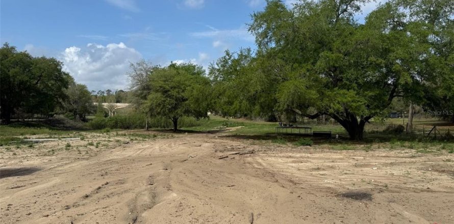 Terrain à Apopka, Floride № 2232931