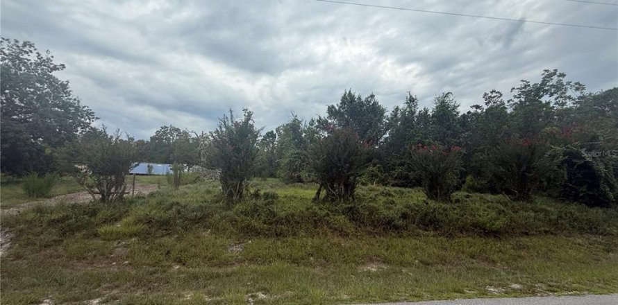 Terrain à DeLand, Floride № 2239223