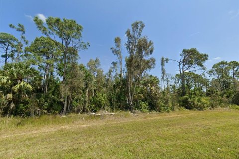 Land in Englewood, Florida № 1643064 - photo 7
