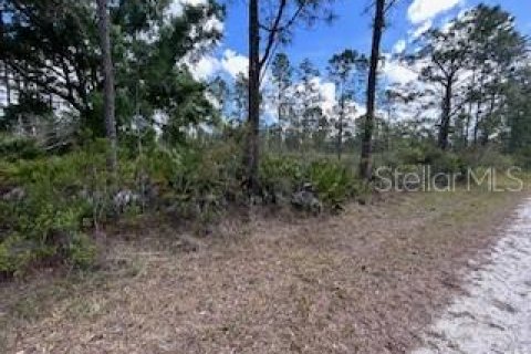 Terreno en Indian lake estates, Florida № 2206032