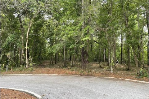 Land in BELLECHASE in Ocala, Florida № 1544027 - photo 1