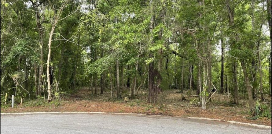 Land in BELLECHASE in Ocala, Florida № 1544027