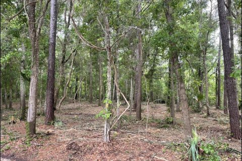 Land in BELLECHASE in Ocala, Florida № 1544027 - photo 3