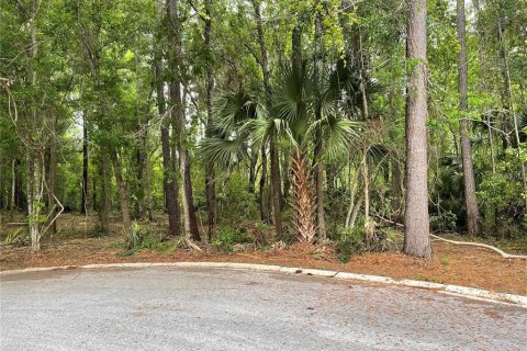 Land in BELLECHASE in Ocala, Florida № 1544027 - photo 2