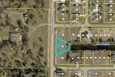 Land in Cape Coral, Florida № 2160133 - photo 7
