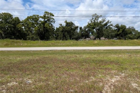 Land in Cape Coral, Florida № 2160133 - photo 4