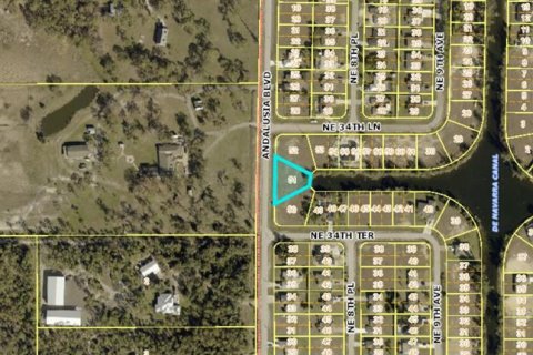 Land in Cape Coral, Florida № 2160133 - photo 8