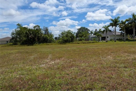 Land in Cape Coral, Florida № 2160133 - photo 2