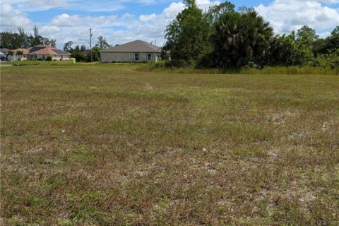 Land in Cape Coral, Florida № 2160133 - photo 6
