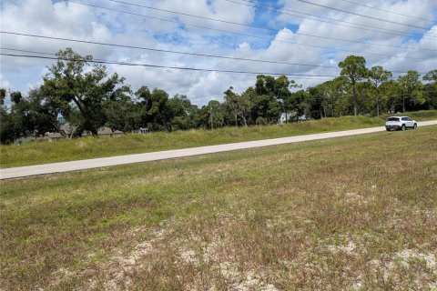 Land in Cape Coral, Florida № 2160133 - photo 5