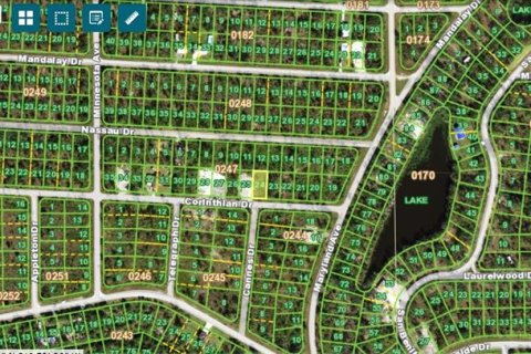 Land in Punta Gorda, Florida № 2159941 - photo 2