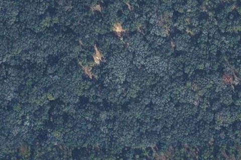 Terreno en Inverness, Florida № 2195241