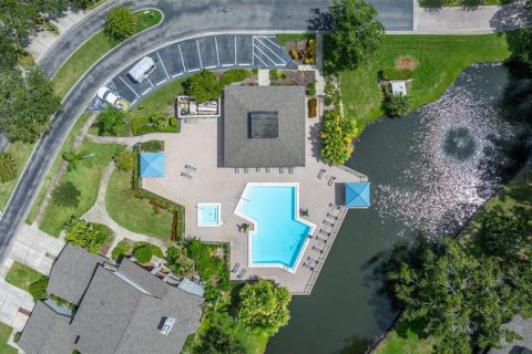 Condo in Palm Harbor, Florida, 3 bedrooms  № 1916296 - photo 2