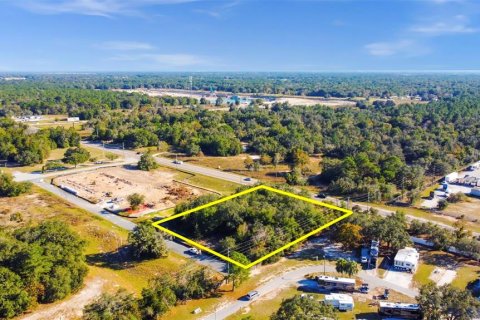 Commercial property in Spring Hill, Florida № 1877039 - photo 6