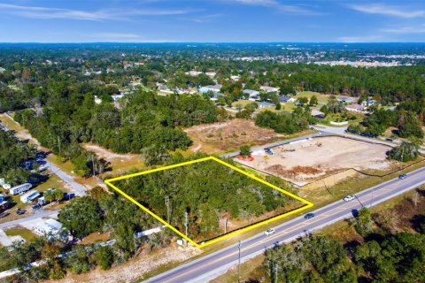 Commercial property in Spring Hill, Florida № 1877039 - photo 2