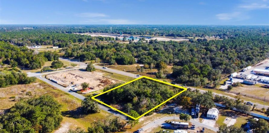 Commercial property in Spring Hill, Florida № 1877039
