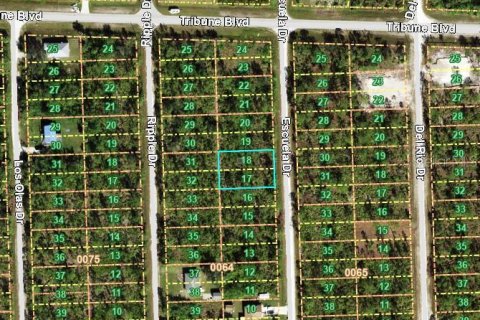 Terreno en venta en Punta Gorda, Florida № 2235304 - foto 3