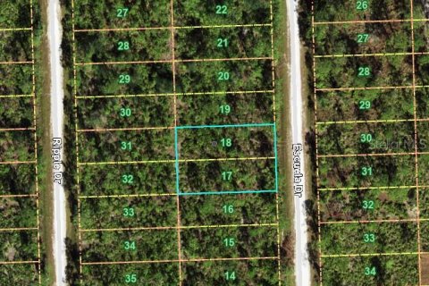 Terreno en venta en Punta Gorda, Florida № 2235304 - foto 2
