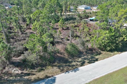 Land in Lehigh Acres, Florida № 2163285 - photo 3