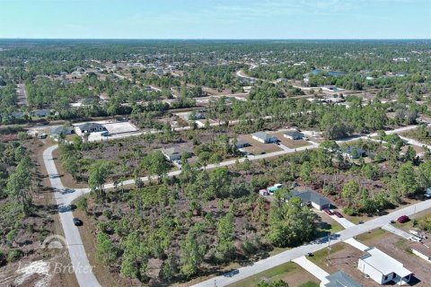 Land in Lehigh Acres, Florida № 2163285 - photo 8