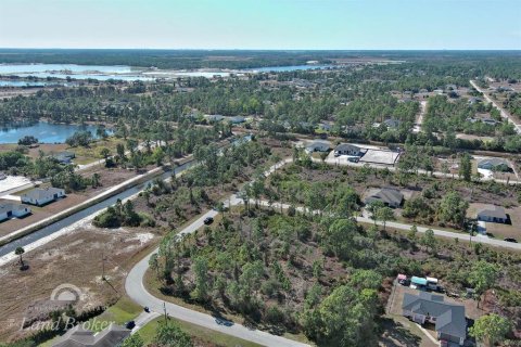 Land in Lehigh Acres, Florida № 2163285 - photo 11