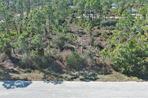Land in Lehigh Acres, Florida № 2163285 - photo 4