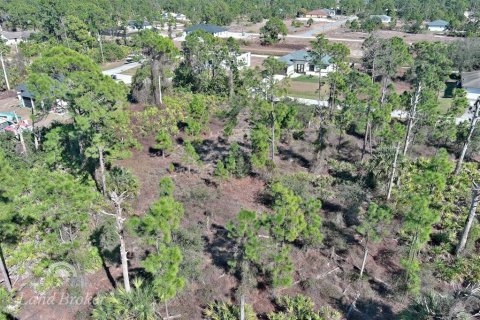 Land in Lehigh Acres, Florida № 2163285 - photo 16