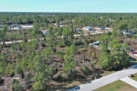 Land in Lehigh Acres, Florida № 2163285 - photo 7