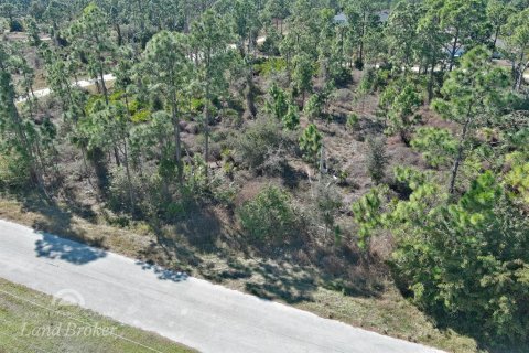 Land in Lehigh Acres, Florida № 2163285 - photo 5