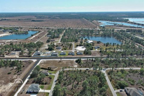 Land in Lehigh Acres, Florida № 2163285 - photo 13