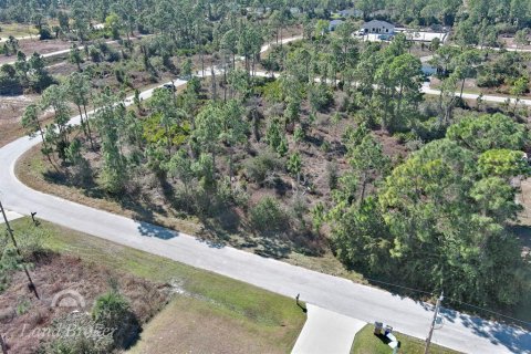 Land in Lehigh Acres, Florida № 2163285 - photo 6