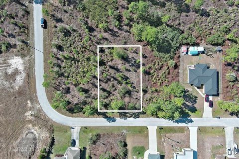 Land in Lehigh Acres, Florida № 2163285