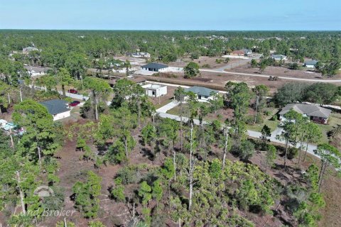 Land in Lehigh Acres, Florida № 2163285 - photo 15