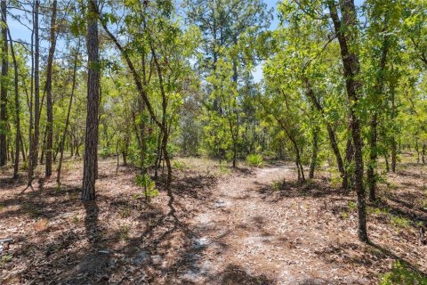 Casa en venta en Brooksville, Florida, 3 dormitorios, 183.2 m2 № 1640910 - foto 30