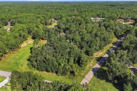 Land in Beverly Hills, Florida № 2378154 - photo 13