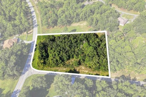 Land in Beverly Hills, Florida № 2378154 - photo 14