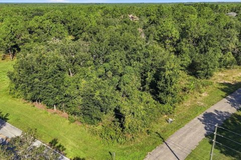 Land in Beverly Hills, Florida № 2378154 - photo 6