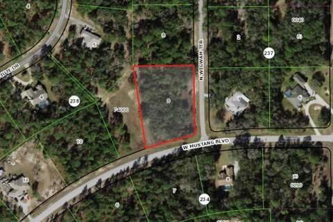 Land in Beverly Hills, Florida № 2378154 - photo 12