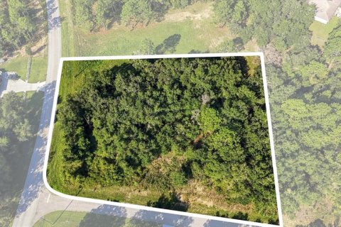 Land in Beverly Hills, Florida № 2378154 - photo 2