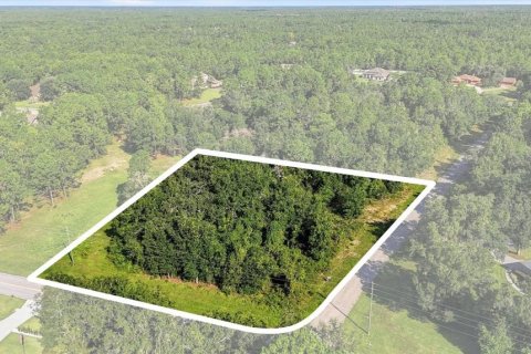 Land in Beverly Hills, Florida № 2378154