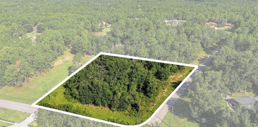 Land in Beverly Hills, Florida № 2378154