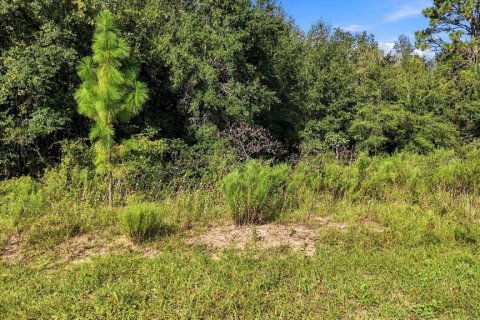 Land in Beverly Hills, Florida № 2378154 - photo 4