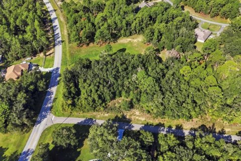 Land in Beverly Hills, Florida № 2378154 - photo 9