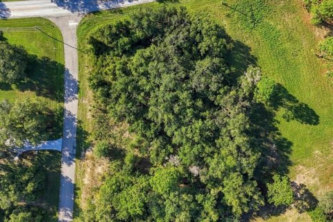 Land in Beverly Hills, Florida № 2378154 - photo 7